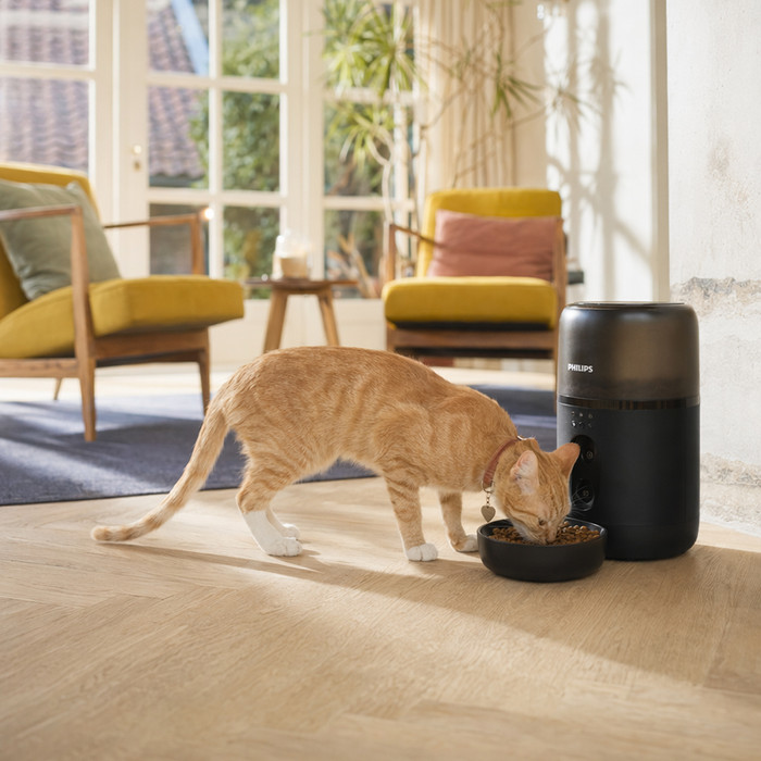Philips Automatische voerbak PAW5320/02 Donkergrijs product in gebruik