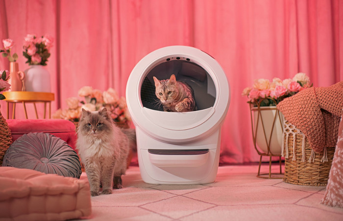 Whisker Automatische kattenbak Litter-Robot 4 Wit product in gebruik