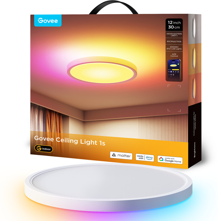 Govee Ceiling Light 12 inch verpakking