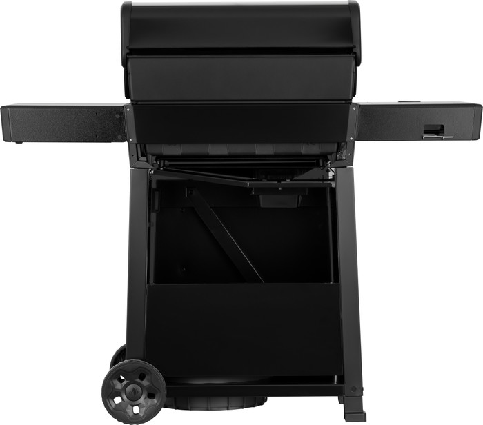 Napoleon Freestyle PRO 425 DSIB achterkant