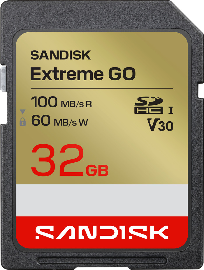 SANDISK Extreme GO SDHC 32GB 100MB/s Main Image
