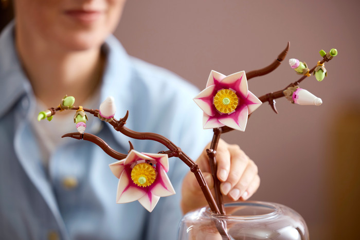 LEGO Botanicals Magnoliatakken 11510 product in gebruik