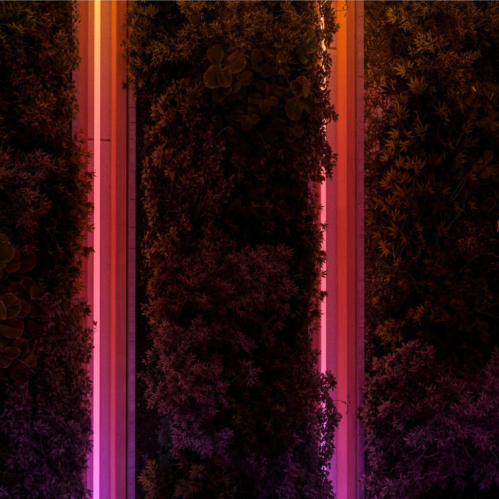 Philips Hue Omniglow LED strip Buiten 5 meter product in gebruik
