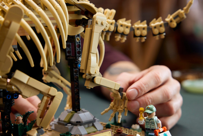 LEGO Jurassic World Dinosaurusfossielen: Triceratops 77985 product in gebruik