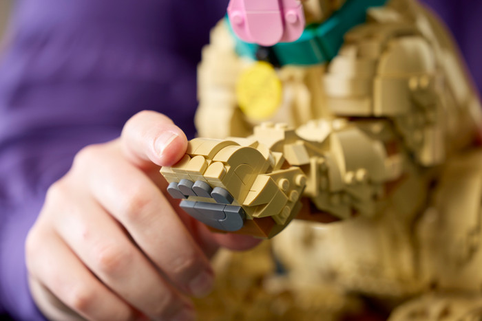 LEGO Icons Golden Retriever Puppy 11384 product in gebruik