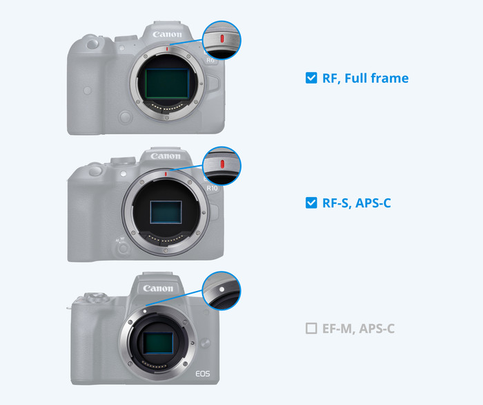 Canon RF 45 mm F1.2 STM visual Coolblue 1