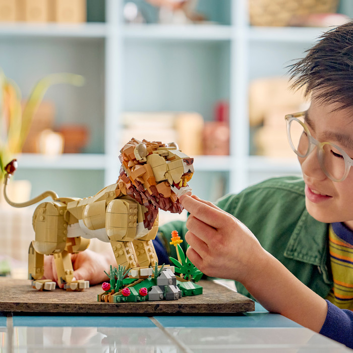LEGO Creator 3-in-1 Wilde dieren: Majestueuze Leeuw 31386 product in gebruik