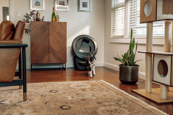 Whisker litter robot 4 Zwart product in gebruik