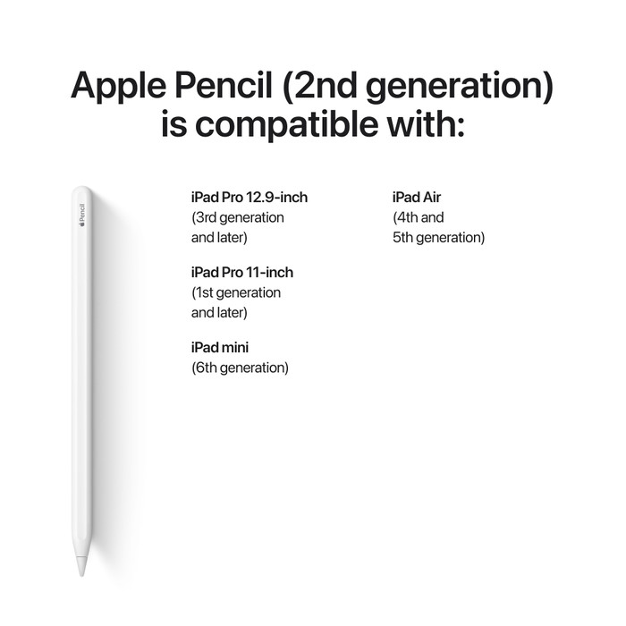 Apple Pencil (2e generatie) visual leverancier