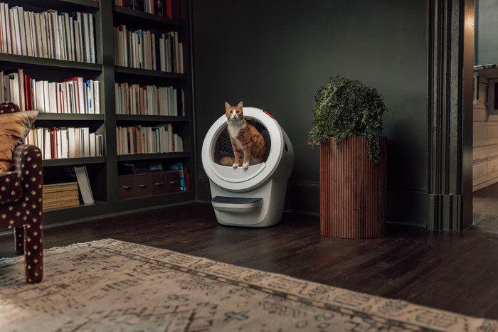 Whisker litter robot 4 Zwart product in gebruik