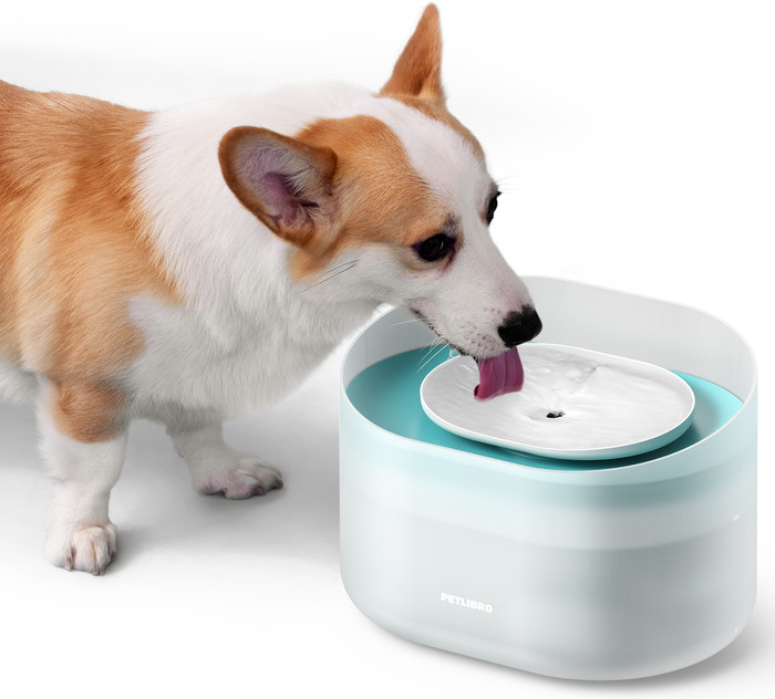 Petlibro Drinkfontein voor Honden PLWF008 Wit product in gebruik