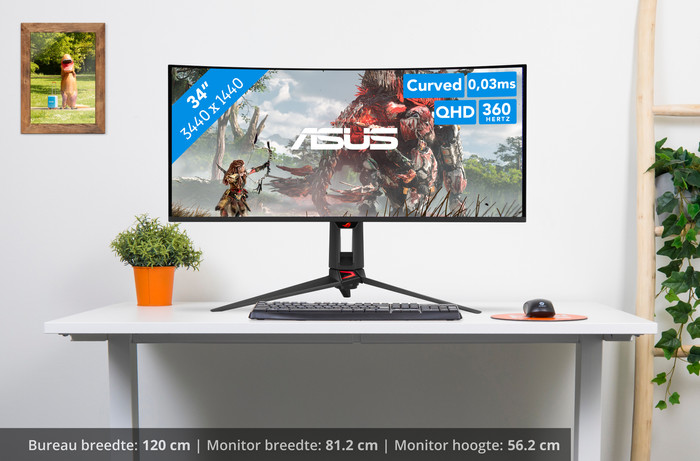 ASUS ROG Swift PG34WCDN QD-OLED Curved visual Coolblue 1