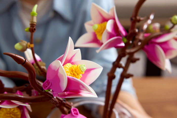 LEGO Botanicals Magnoliatakken 11510 product in gebruik