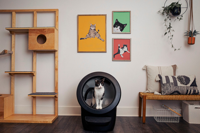 Whisker litter robot 4 Zwart product in gebruik