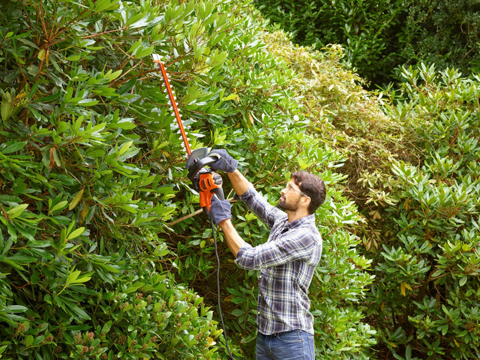 BLACK+DECKER BEHTS451-QS product in use