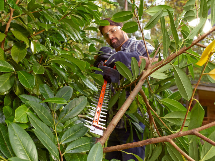 BLACK+DECKER BEHTS451-QS product in use