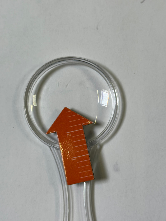 Bresser Junior Microscoop set 300x-1200x met koffer 