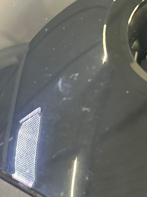 Miele Guard L1 Cat & Dog Obsidiaanzwart 