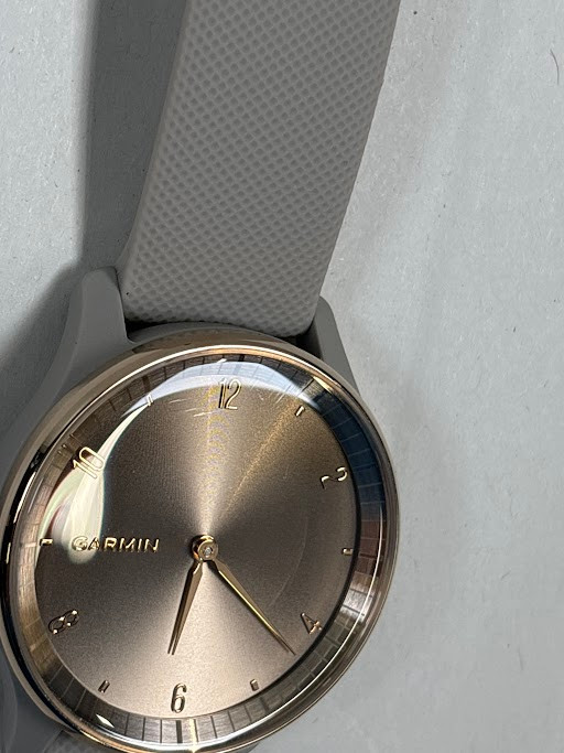 Garmin Vivomove Trend Gold/Gray 