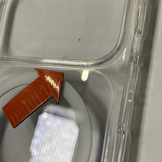 BlueBuilt Protective Back Cover met MagSafe iPhone 17 Pro Transparant 