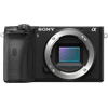 Sony Alpha A6600 Body