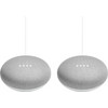 Google Nest Mini Wit 2 pack