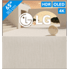 LG OLED 65ART90E6QA (2022)