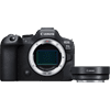 Canon EOS R6 Mark II + EF-EOS R Adapter