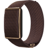 Polar Loop Bruin