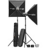 Elinchrom D-Lite RX 4 To Go