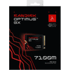 SANDISK Optimus GX 7100M 1TB NVMe SSD