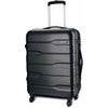 Carlton Cayenne Spinner Case 65cm Graphite