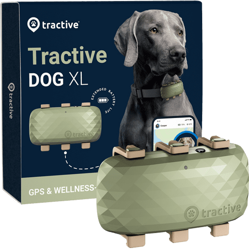 Tractive ikati online