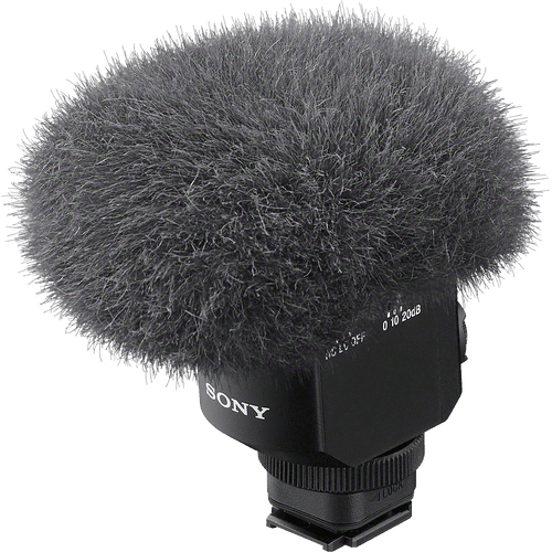 Definitief Ontwijken gallon Ricoh TA-1 3D Microfoon voor Theta V - Coolblue - Voor 23.59u, morgen in  huis