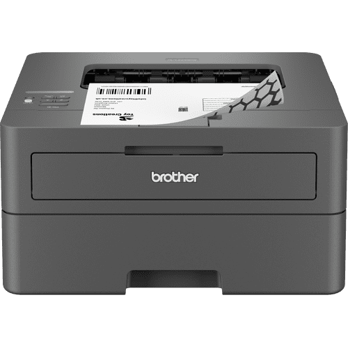 Brother hl2170w store