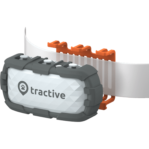 Tractive ikati store gps cat tracker