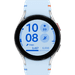 Samsung Galaxy Watch FE Zilver/Blauw