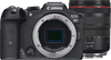 Canon EOS R7 + RF 24-105mm f/4L IS USM