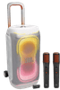JBL Partybox 330 Wit + JBL Easysing Mics