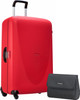 Samsonite Termo Young Spinner 78cm Vivid Red