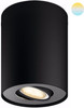 Philips Hue Pillar Mounted Spot White Ambiance 1 Light Black + Dimmer