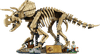 LEGO Jurassic World Dinosaurusfossielen: Triceratops 77985