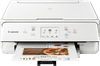Canon PIXMA TS6251