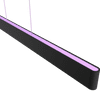 Philips Hue Ensis Hanglamp White and Color Zwart