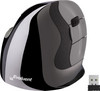 Evoluent D Wireless Mouse Medium