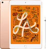 Apple iPad Mini 5 64 GB Wifi Goud + Apple Pencil