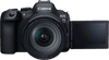 Canon EOS R6 Mark II + RF 24-105mm f/4L IS USM