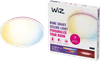 WiZ Plafondlamp Rune - Gekleurd en wit licht - wit