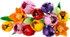 LEGO Botanicals Tulpenboeket 11501