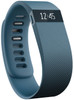 Fitbit Charge Slate - L